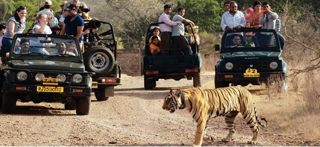 Kanha Kisli National park