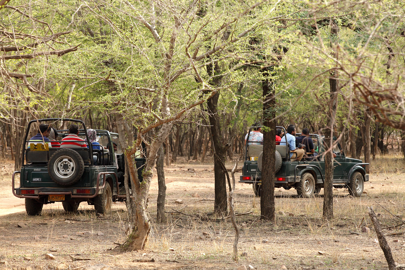 Kanha Kisli National park