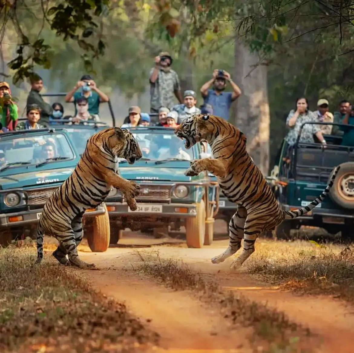 Kanha Kisli National park
